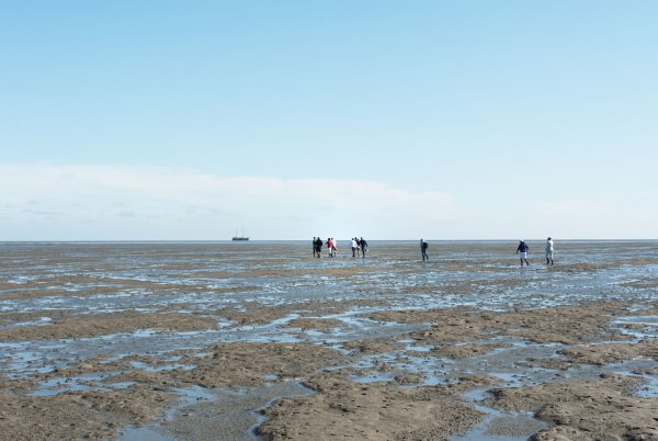 wadlopen